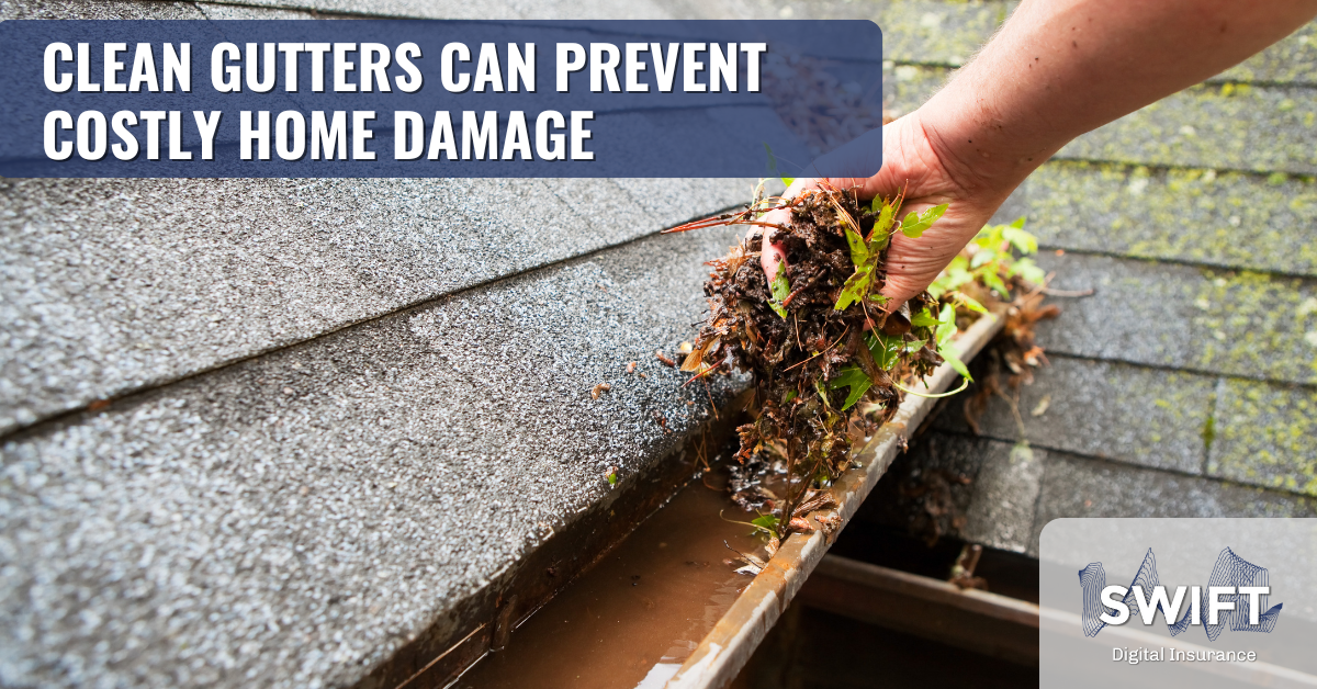Curated visual reference: Picture Idea: Clean Gutters Can Prevent Costly Home Damage